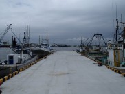 荒浜漁港第１防砂堤外災害復旧工事